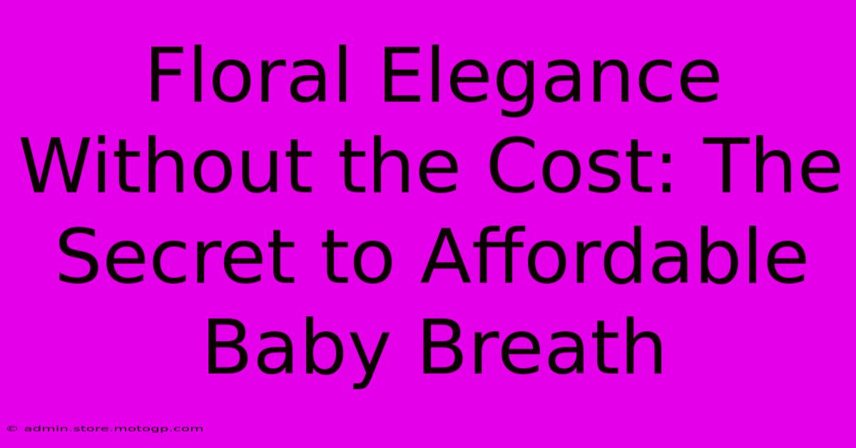 Floral Elegance Without The Cost: The Secret To Affordable Baby Breath