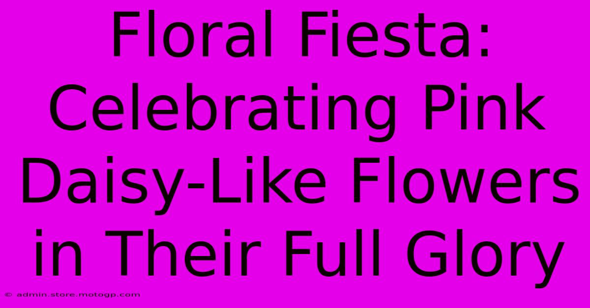 Floral Fiesta: Celebrating Pink Daisy-Like Flowers In Their Full Glory