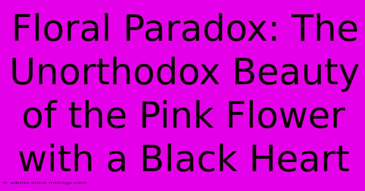 Floral Paradox: The Unorthodox Beauty Of The Pink Flower With A Black Heart