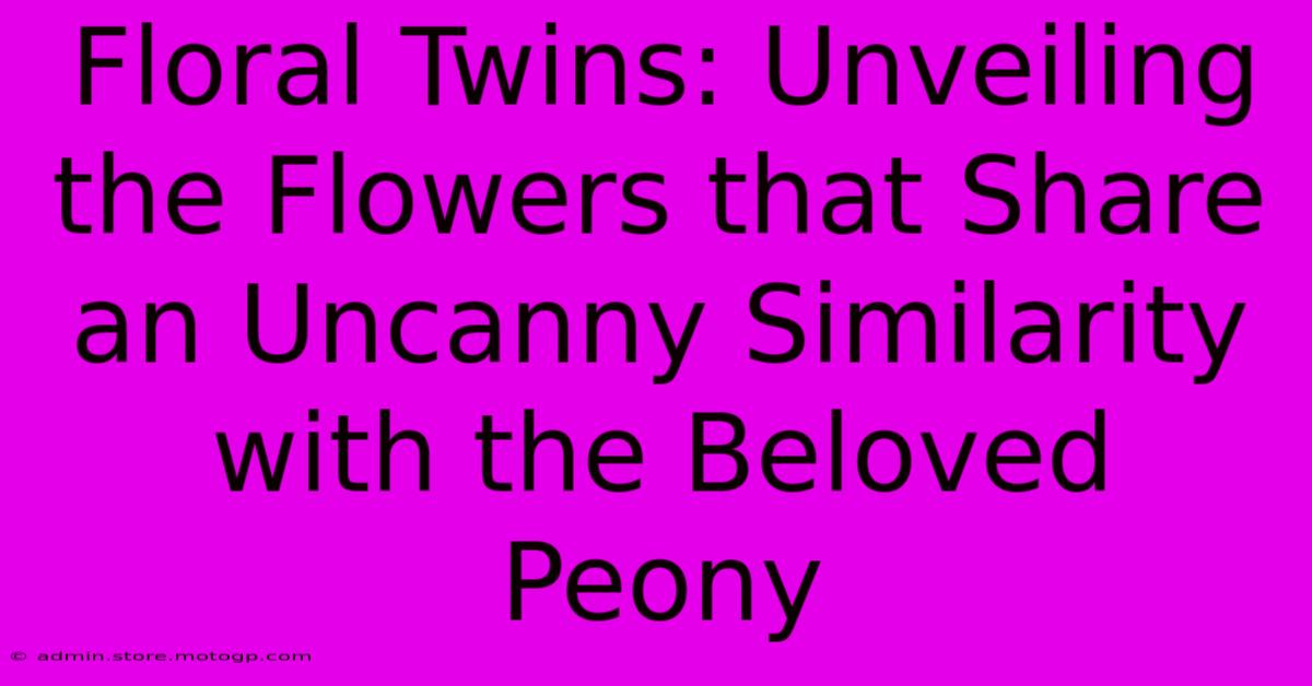 Floral Twins: Unveiling The Flowers That Share An Uncanny Similarity With The Beloved Peony