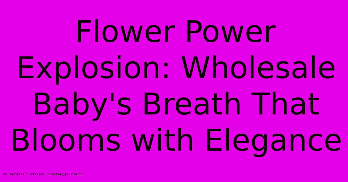 Flower Power Explosion: Wholesale Baby's Breath That Blooms With Elegance