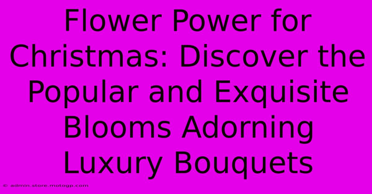 Flower Power For Christmas: Discover The Popular And Exquisite Blooms Adorning Luxury Bouquets