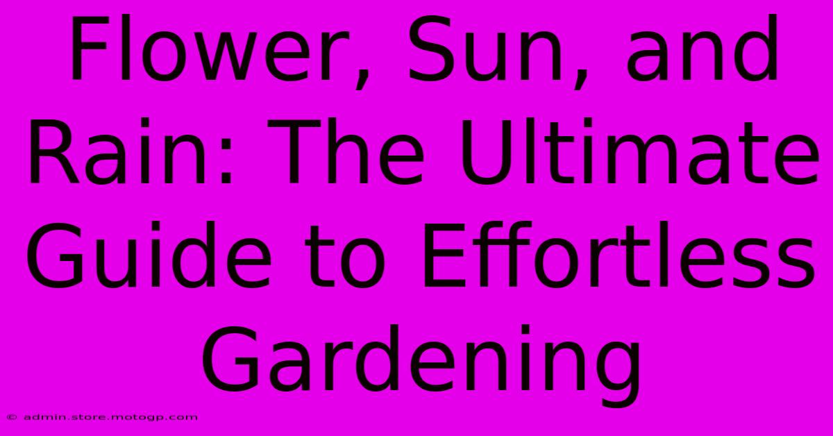 Flower, Sun, And Rain: The Ultimate Guide To Effortless Gardening