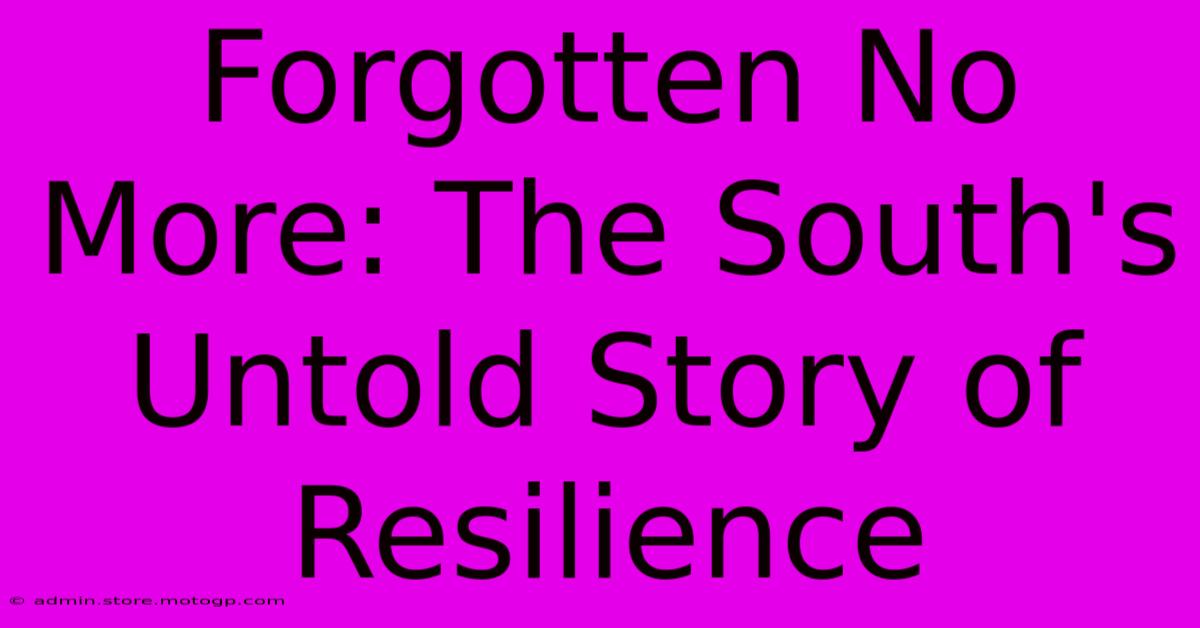 Forgotten No More: The South's Untold Story Of Resilience