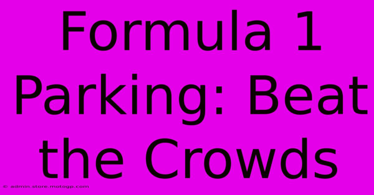 Formula 1 Parking: Beat The Crowds