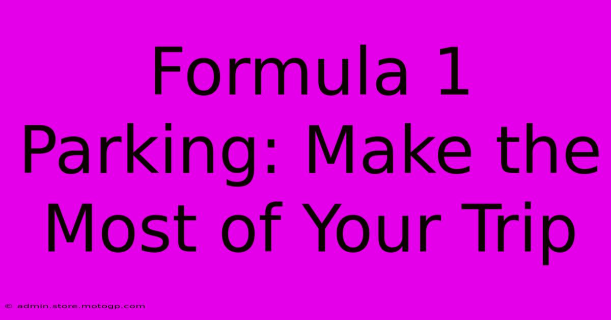 Formula 1 Parking: Make The Most Of Your Trip