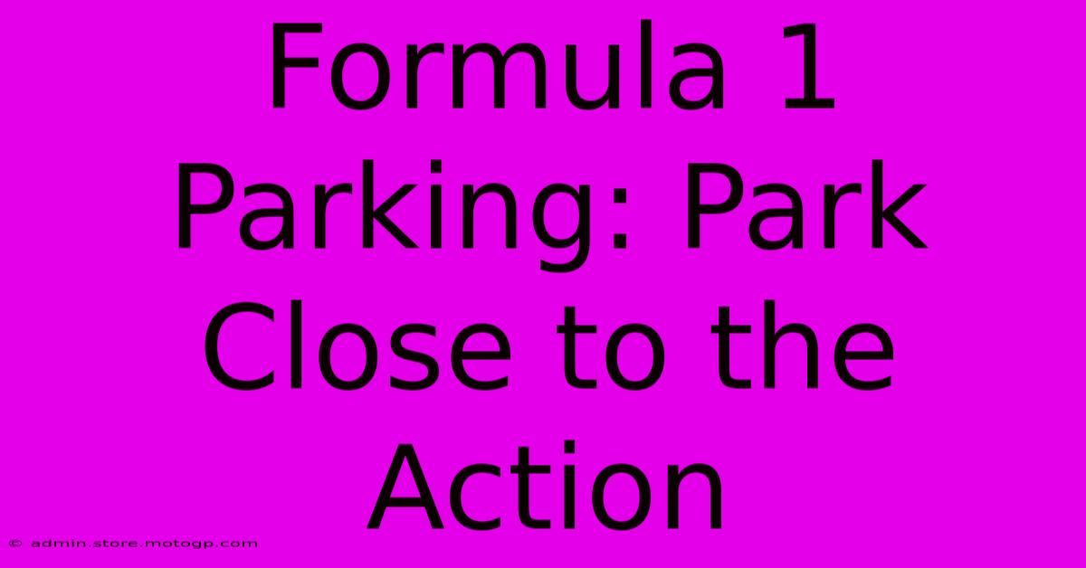 Formula 1 Parking: Park Close To The Action