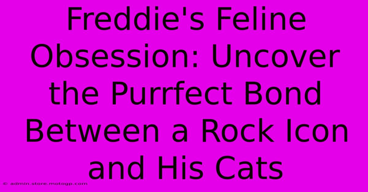 Freddie's Feline Obsession: Uncover The Purrfect Bond Between A Rock Icon And His Cats