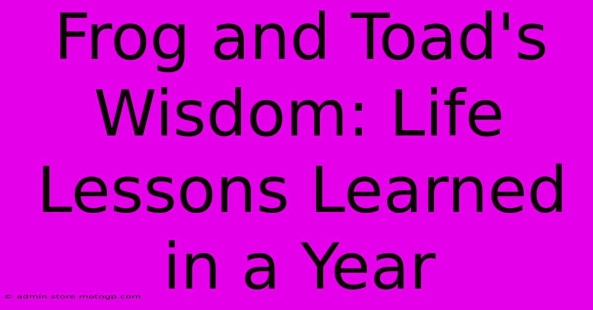 Frog And Toad's Wisdom: Life Lessons Learned In A Year