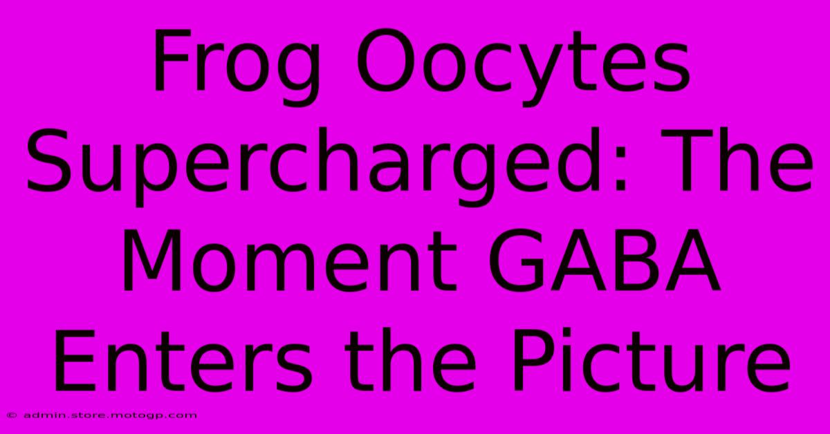 Frog Oocytes Supercharged: The Moment GABA Enters The Picture