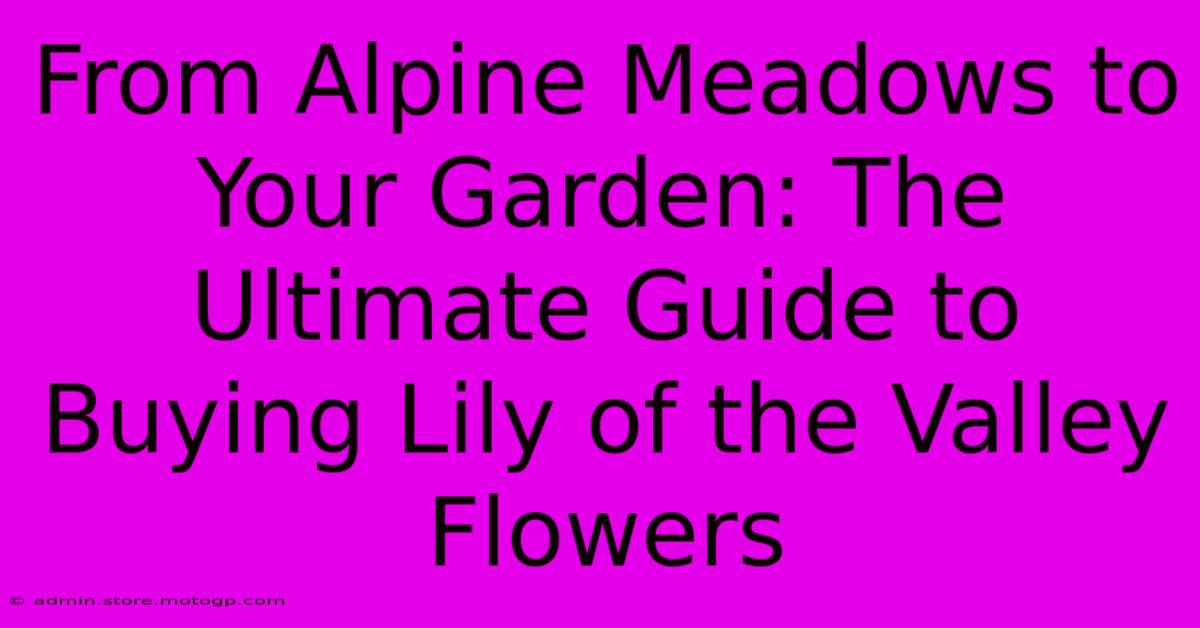 From Alpine Meadows To Your Garden: The Ultimate Guide To Buying Lily Of The Valley Flowers