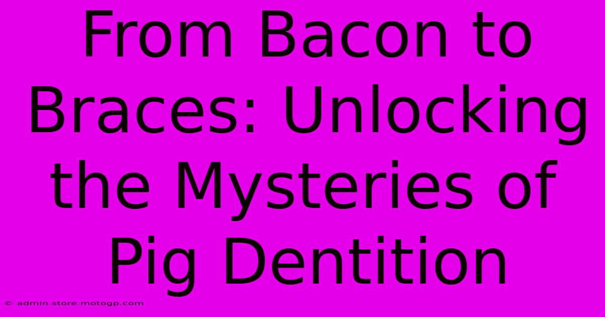 From Bacon To Braces: Unlocking The Mysteries Of Pig Dentition