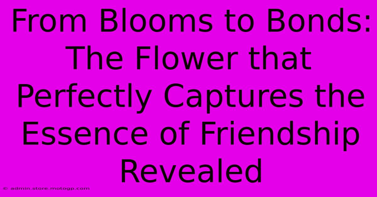 From Blooms To Bonds: The Flower That Perfectly Captures The Essence Of Friendship Revealed