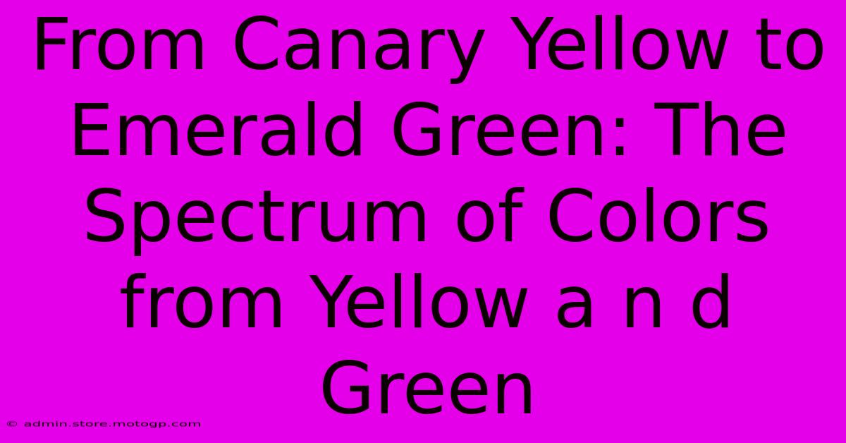 From Canary Yellow To Emerald Green: The Spectrum Of Colors From Yellow A N D Green