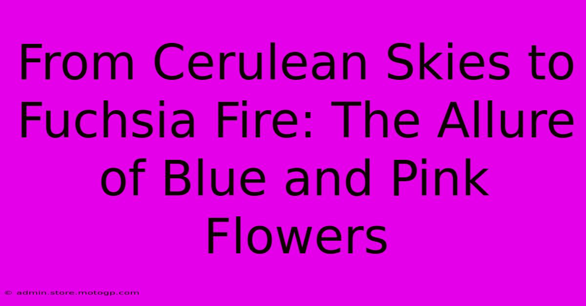 From Cerulean Skies To Fuchsia Fire: The Allure Of Blue And Pink Flowers