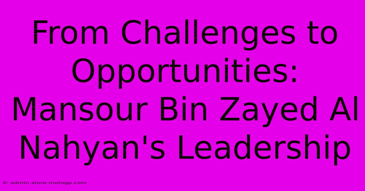 From Challenges To Opportunities: Mansour Bin Zayed Al Nahyan's Leadership