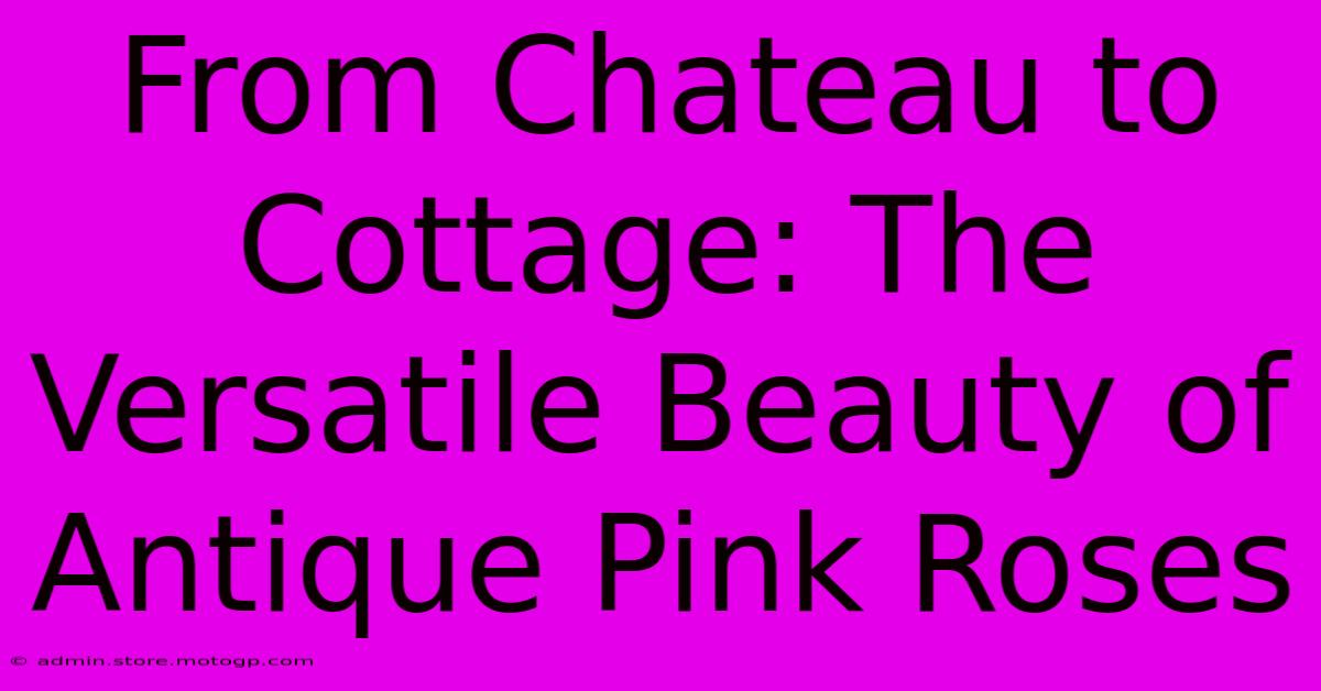 From Chateau To Cottage: The Versatile Beauty Of Antique Pink Roses