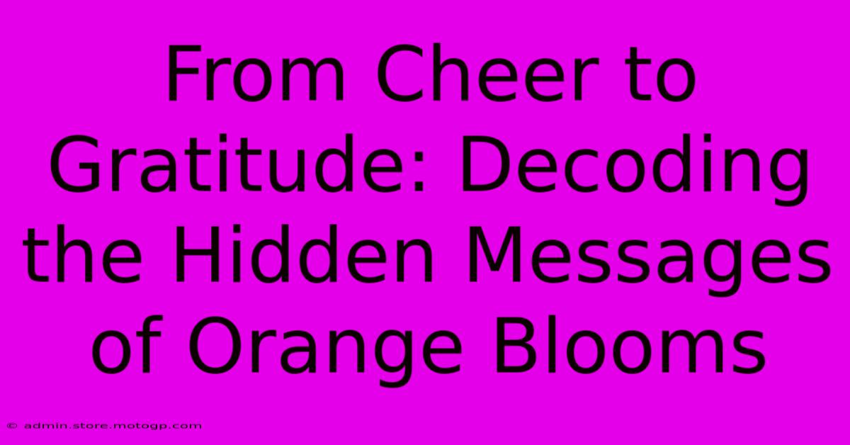 From Cheer To Gratitude: Decoding The Hidden Messages Of Orange Blooms