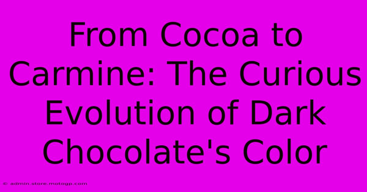 From Cocoa To Carmine: The Curious Evolution Of Dark Chocolate's Color