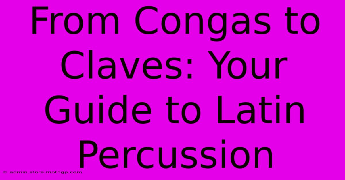 From Congas To Claves: Your Guide To Latin Percussion