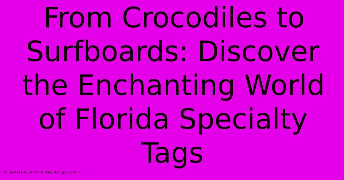 From Crocodiles To Surfboards: Discover The Enchanting World Of Florida Specialty Tags