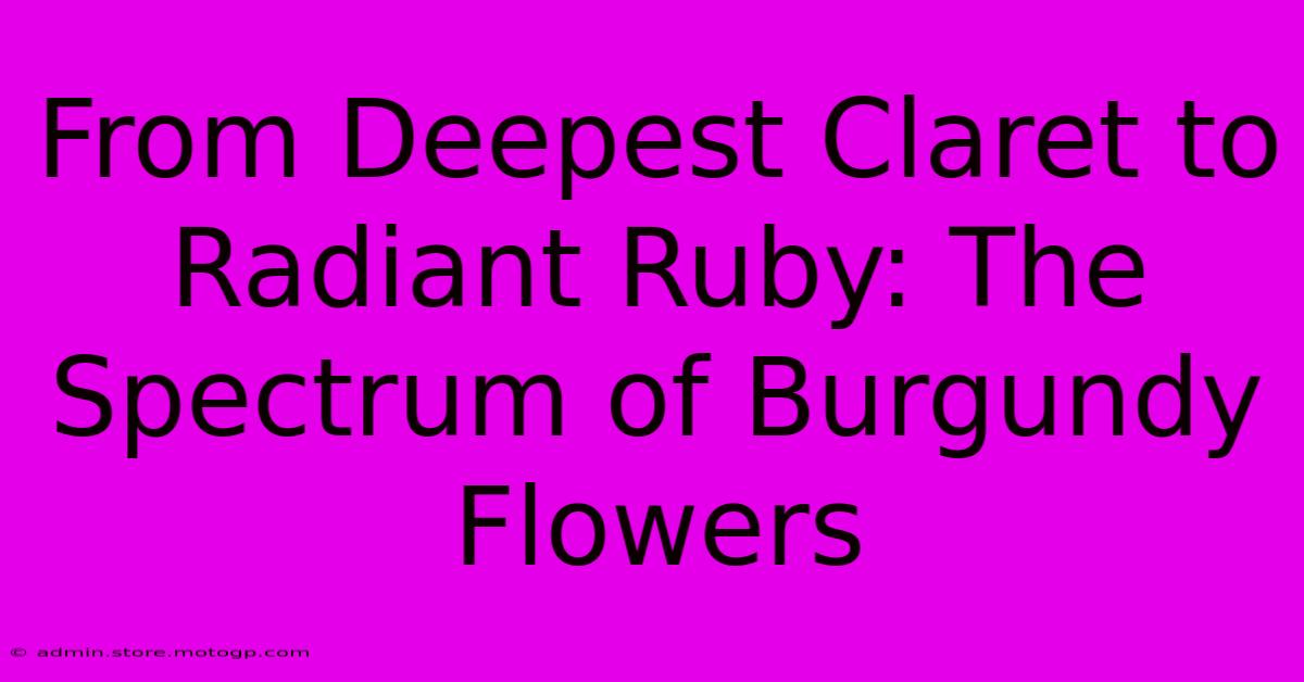 From Deepest Claret To Radiant Ruby: The Spectrum Of Burgundy Flowers