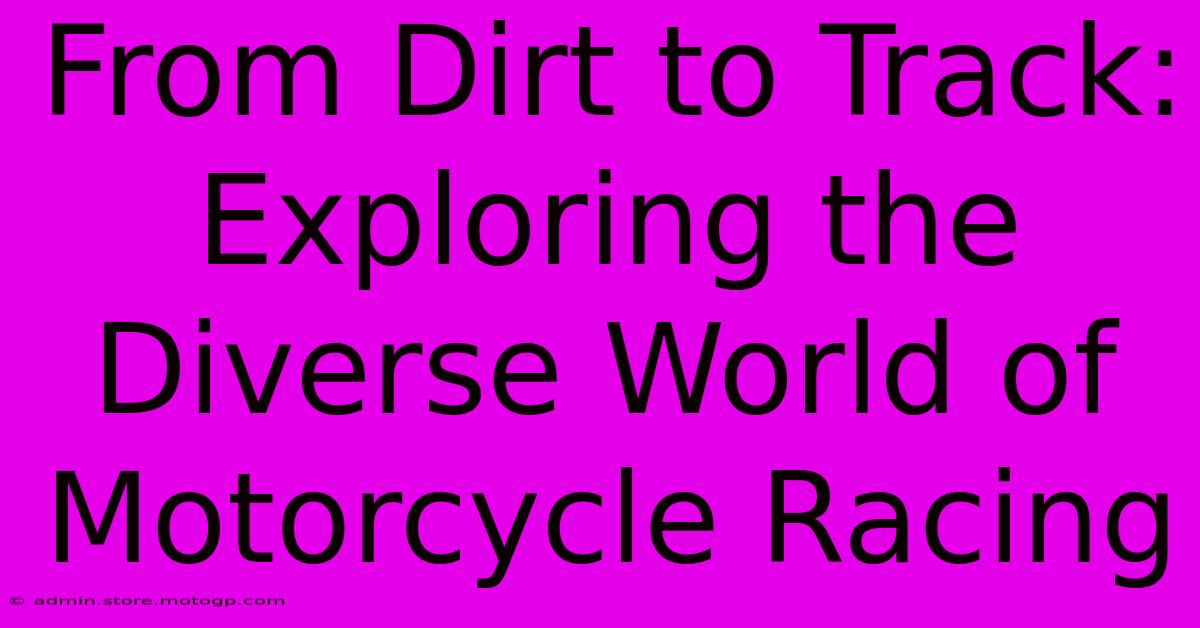 From Dirt To Track: Exploring The Diverse World Of Motorcycle Racing