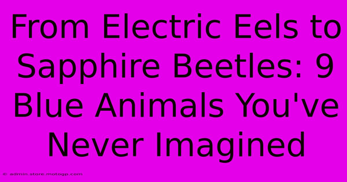 From Electric Eels To Sapphire Beetles: 9 Blue Animals You've Never Imagined