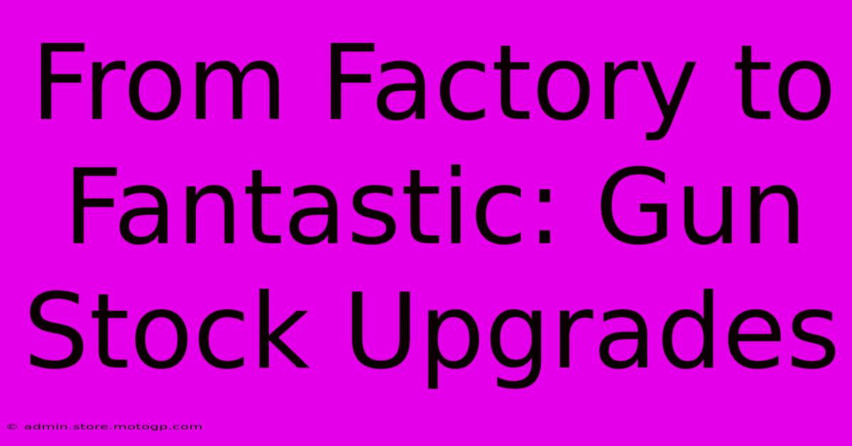 From Factory To Fantastic: Gun Stock Upgrades