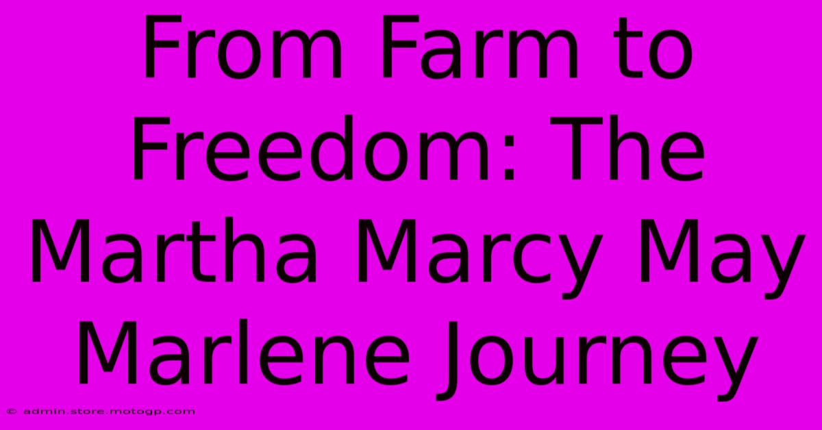 From Farm To Freedom: The Martha Marcy May Marlene Journey