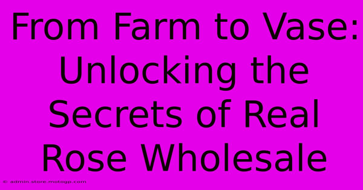 From Farm To Vase: Unlocking The Secrets Of Real Rose Wholesale