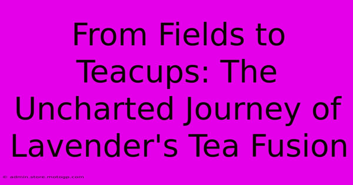 From Fields To Teacups: The Uncharted Journey Of Lavender's Tea Fusion