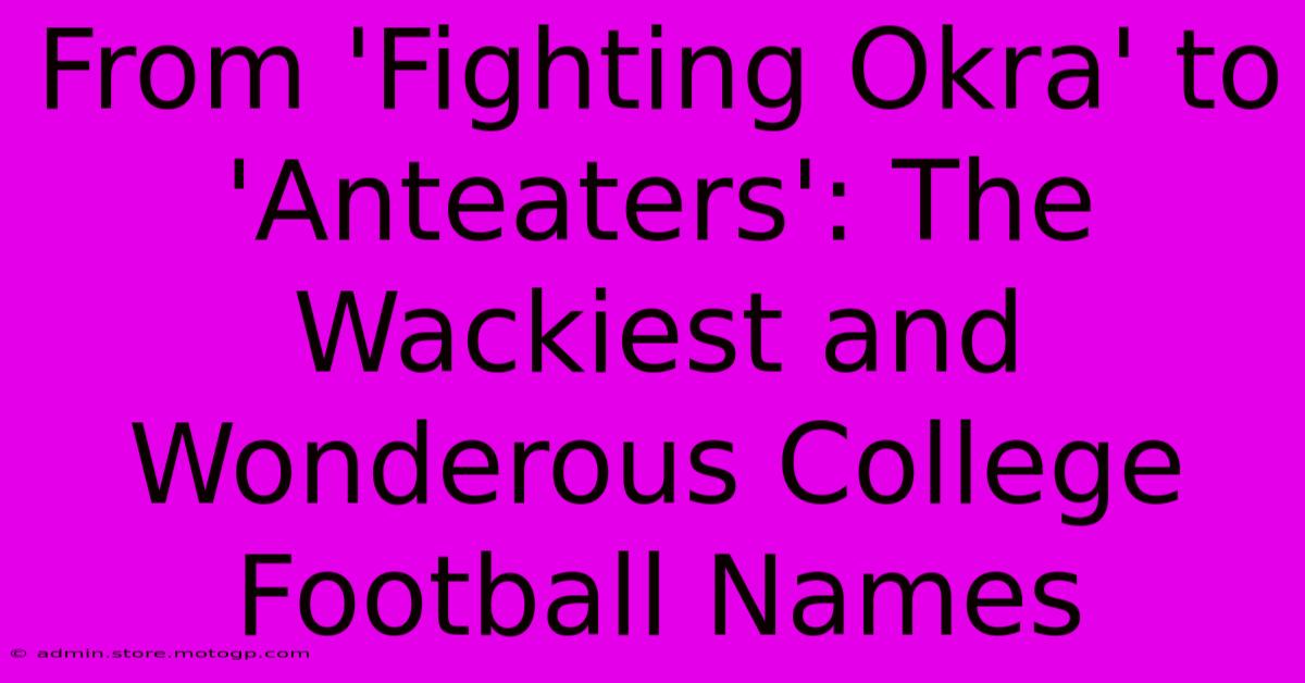 From 'Fighting Okra' To 'Anteaters': The Wackiest And Wonderous College Football Names