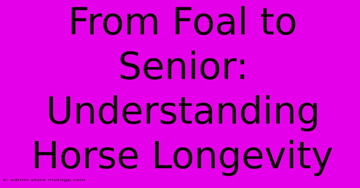 From Foal To Senior: Understanding Horse Longevity