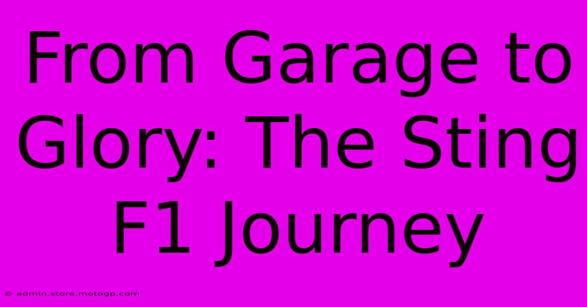 From Garage To Glory: The Sting F1 Journey