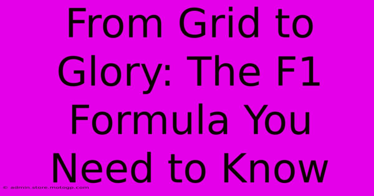 From Grid To Glory: The F1 Formula You Need To Know