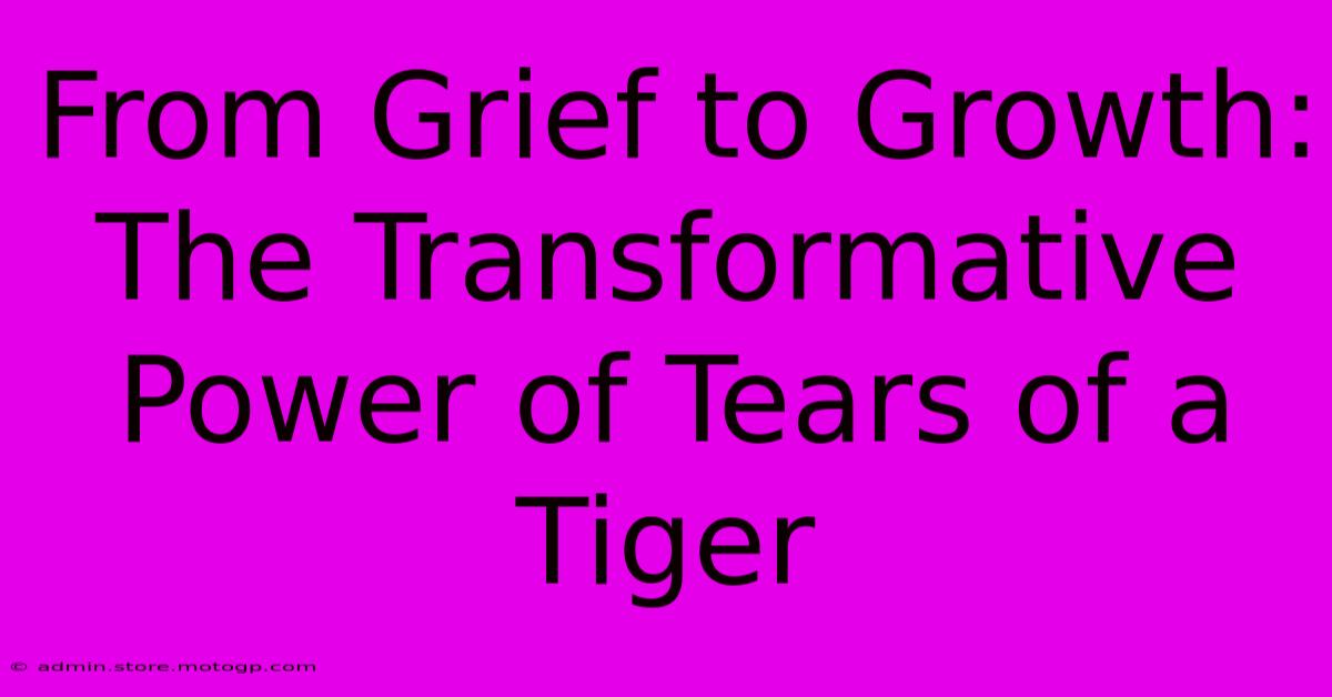 From Grief To Growth: The Transformative Power Of Tears Of A Tiger