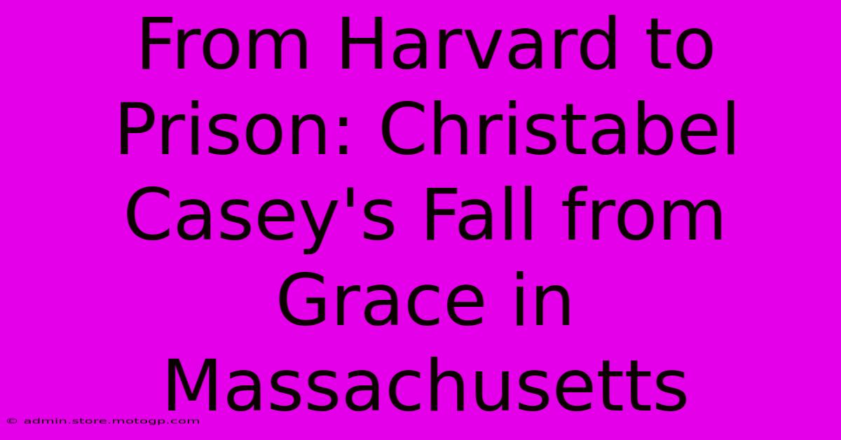 From Harvard To Prison: Christabel Casey's Fall From Grace In Massachusetts