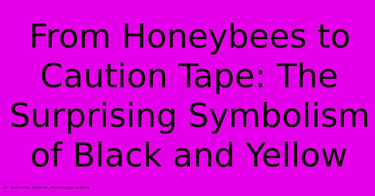 From Honeybees To Caution Tape: The Surprising Symbolism Of Black And Yellow