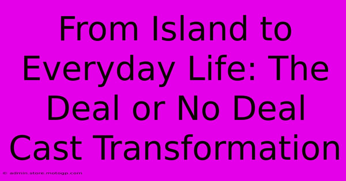 From Island To Everyday Life: The Deal Or No Deal Cast Transformation