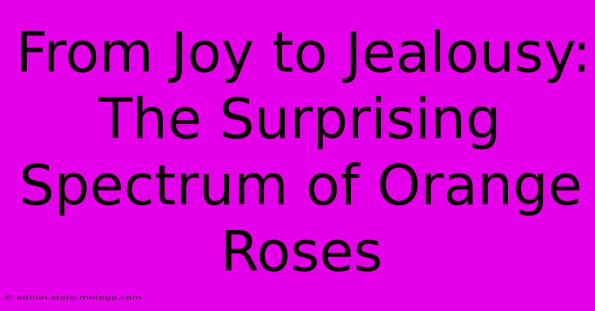 From Joy To Jealousy: The Surprising Spectrum Of Orange Roses