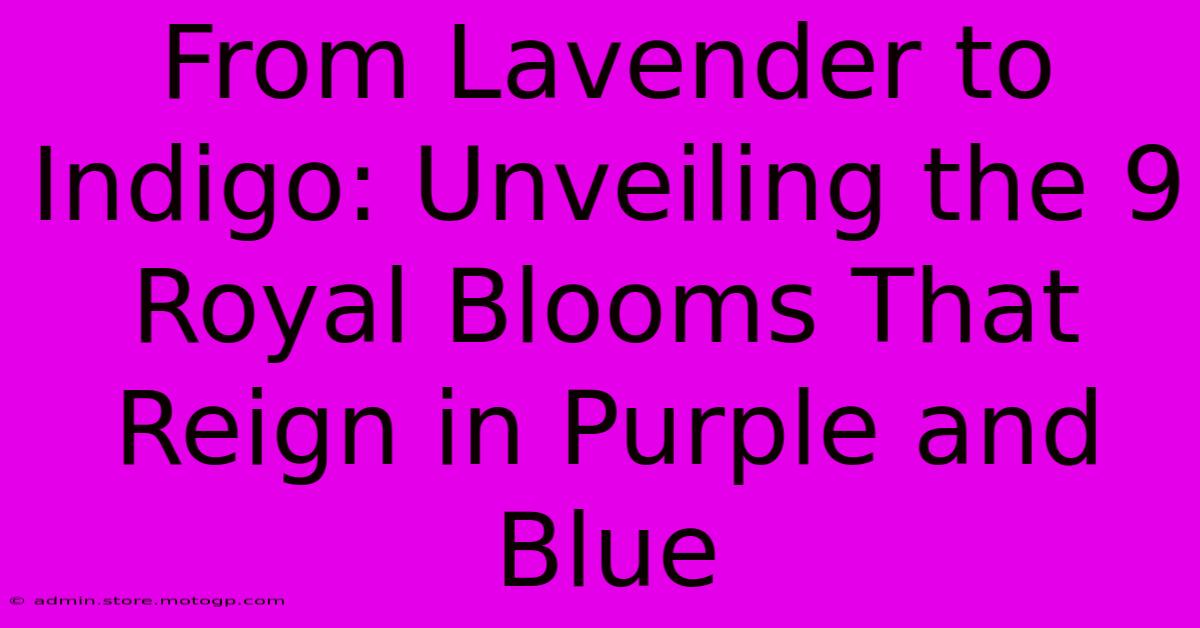 From Lavender To Indigo: Unveiling The 9 Royal Blooms That Reign In Purple And Blue