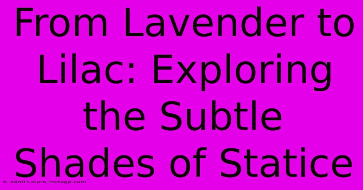 From Lavender To Lilac: Exploring The Subtle Shades Of Statice