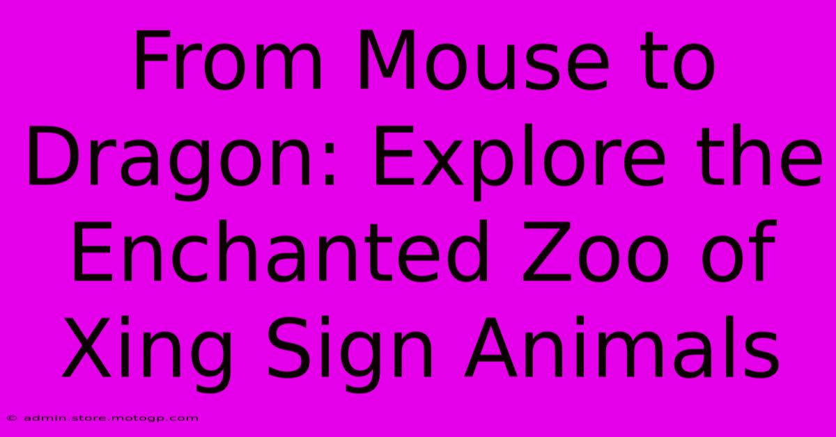 From Mouse To Dragon: Explore The Enchanted Zoo Of Xing Sign Animals