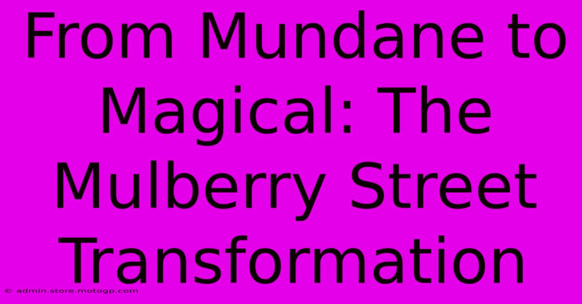 From Mundane To Magical: The Mulberry Street Transformation