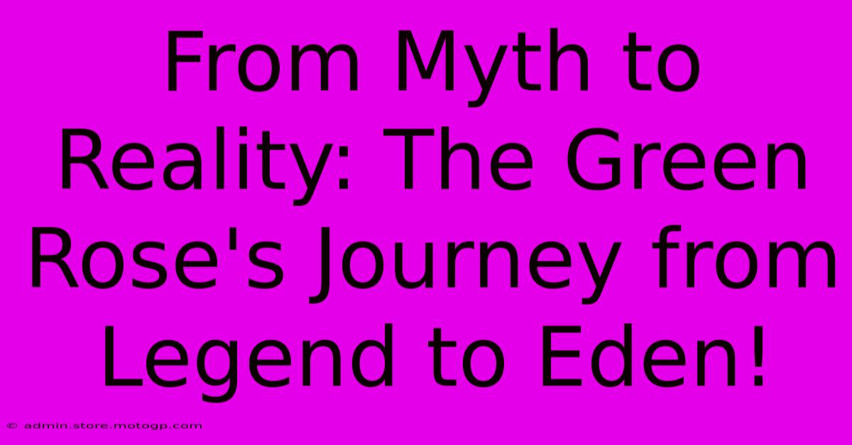 From Myth To Reality: The Green Rose's Journey From Legend To Eden!