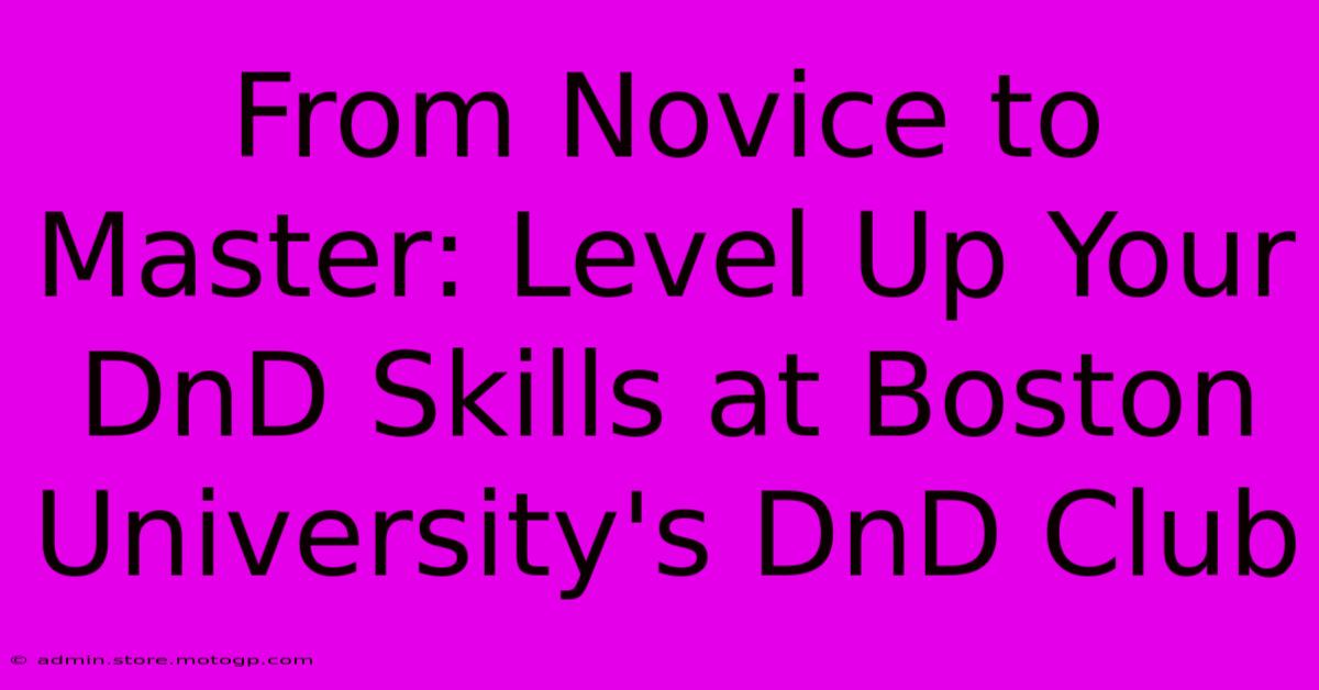 From Novice To Master: Level Up Your DnD Skills At Boston University's DnD Club