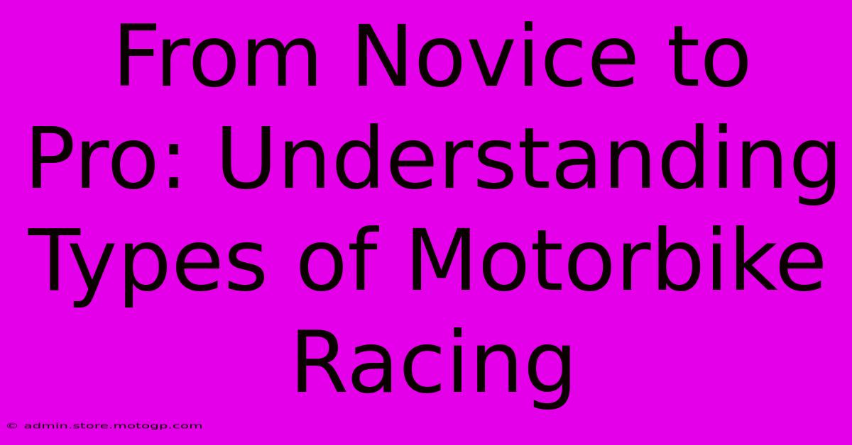 From Novice To Pro: Understanding Types Of Motorbike Racing