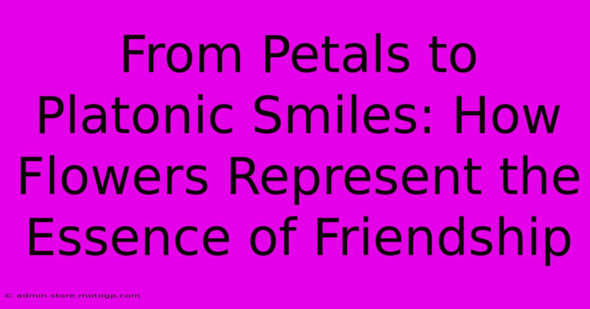 From Petals To Platonic Smiles: How Flowers Represent The Essence Of Friendship