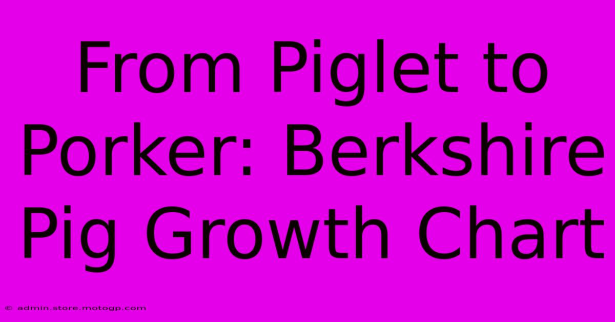 From Piglet To Porker: Berkshire Pig Growth Chart